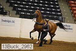 13buck_2962 proof