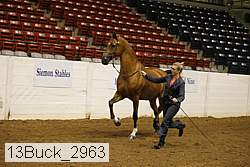 13buck_2963 proof