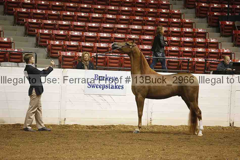 Proof 13buck_2966