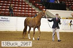 13buck_2967 proof