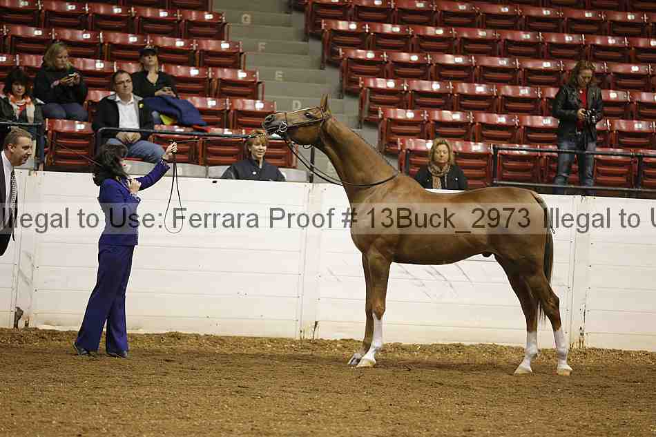 Proof 13buck_2973