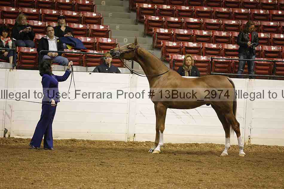 Proof 13buck_2974