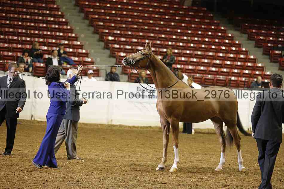 Proof 13buck_2976