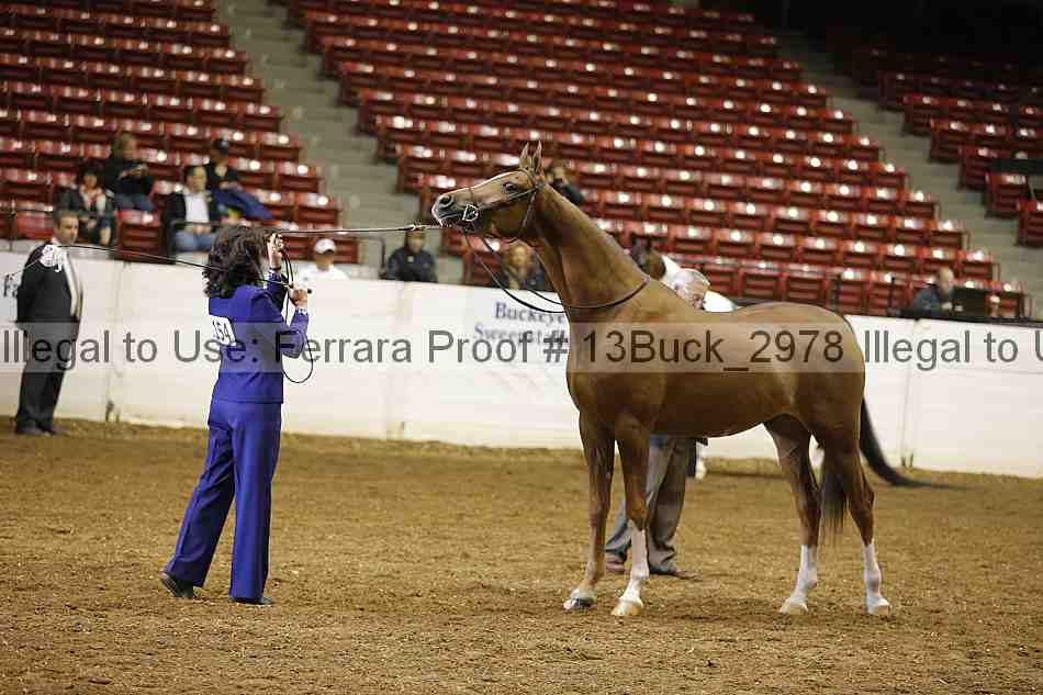 Proof 13buck_2978
