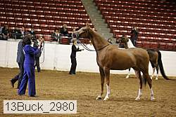 13buck_2980 proof