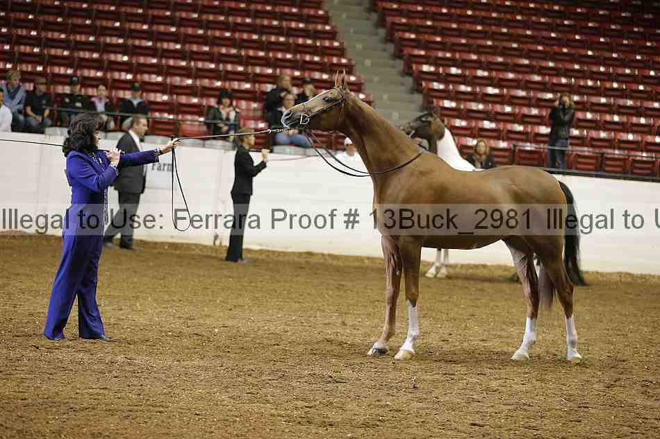 Proof 13buck_2981