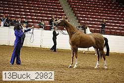 13buck_2982 proof