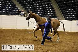 13buck_2983 proof