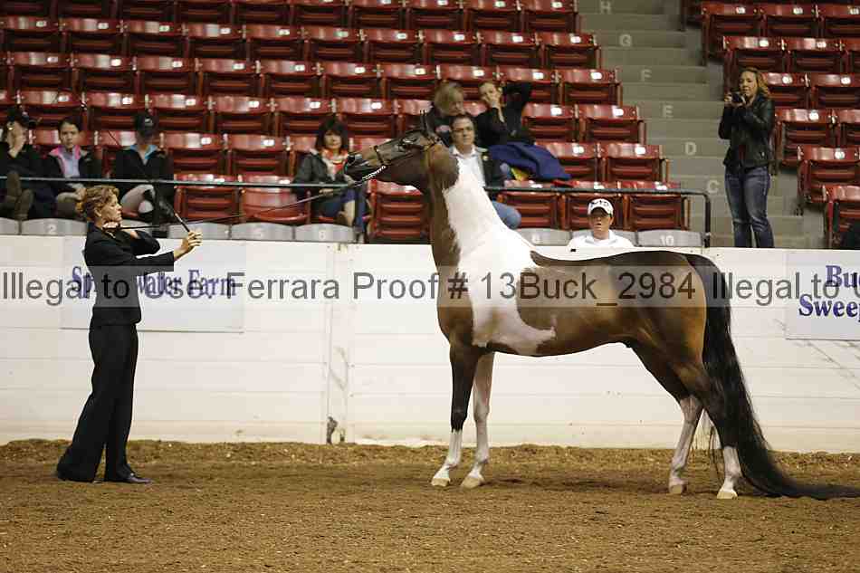 Proof 13buck_2984