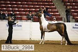 13buck_2984 proof