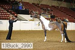 13buck_2990 proof