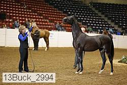 13buck_2994 proof