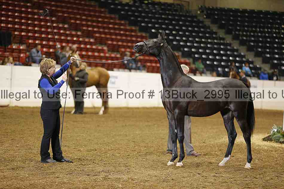 Proof 13buck_2995