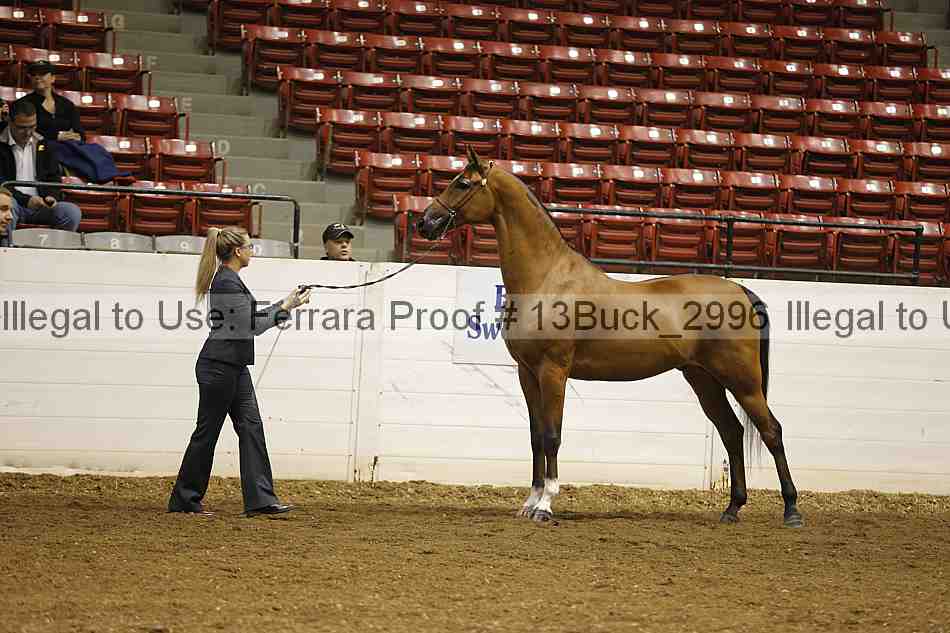 Proof 13buck_2996