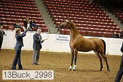 13buck_2998 proof
