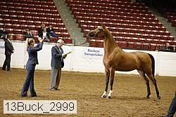 13buck_2999 proof