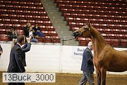 13buck_3000 proof
