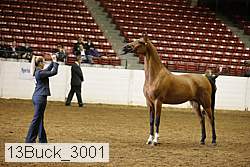 13buck_3001 proof