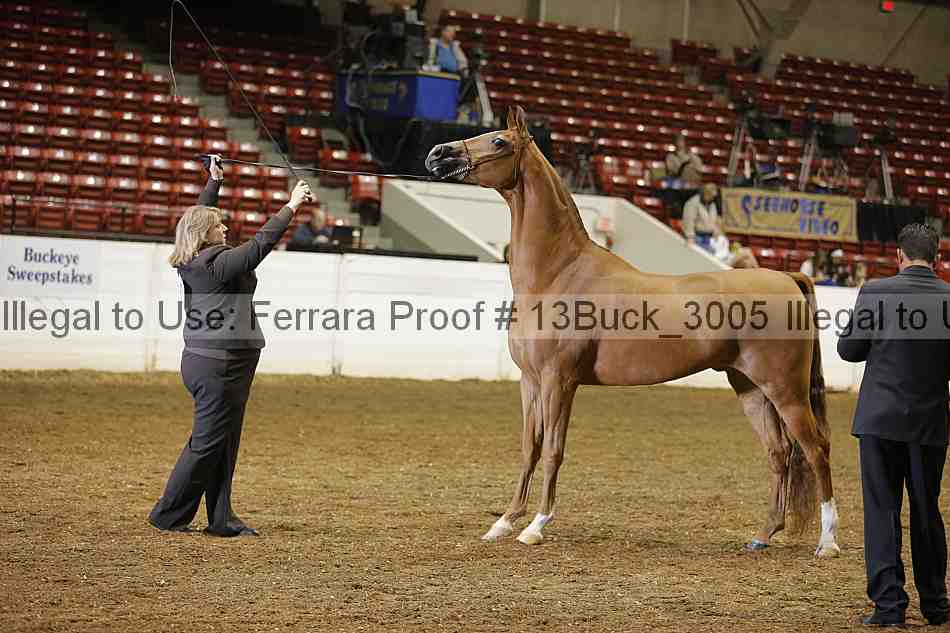 Proof 13buck_3005