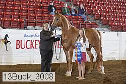 13buck_3008 proof
