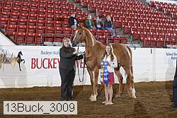 13buck_3009 proof
