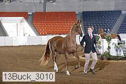 13buck_3010 proof