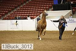 13buck_3012 proof
