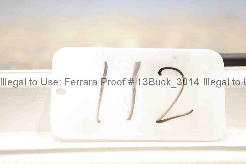 Proof 13buck_3014