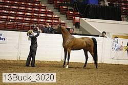 13buck_3020 proof