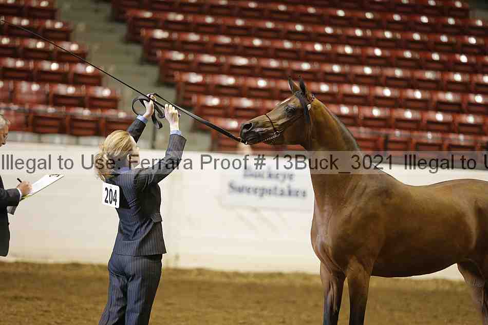 Proof 13buck_3021