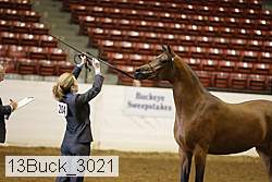 13buck_3021 proof