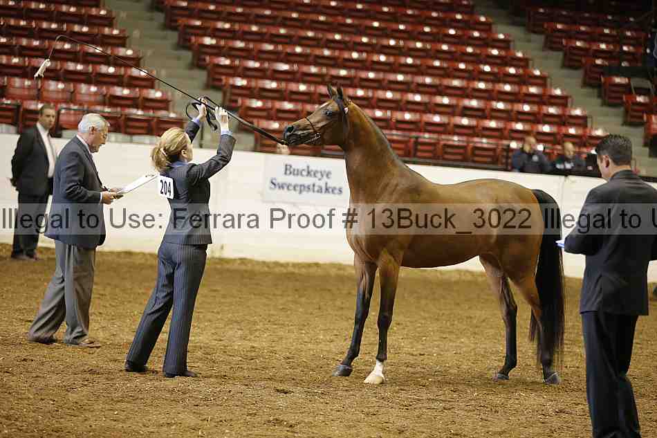 Proof 13buck_3022