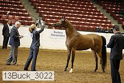 13buck_3022 proof