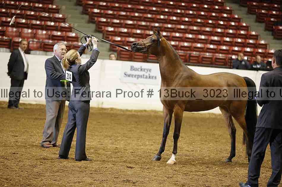 Proof 13buck_3023