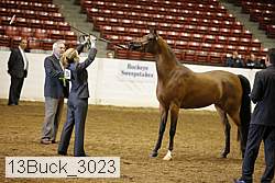 13buck_3023 proof