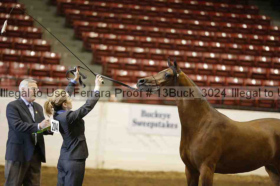 Proof 13buck_3024