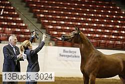 13buck_3024 proof