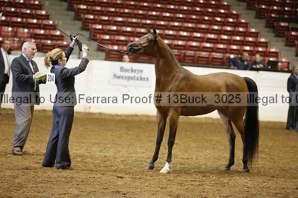 Proof 13buck_3025