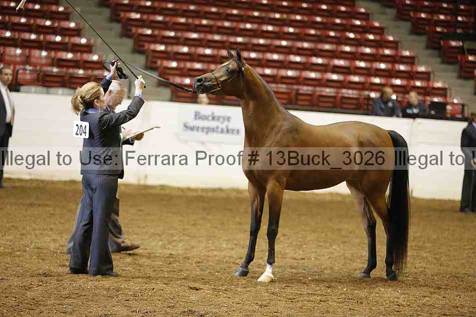 Proof 13buck_3026