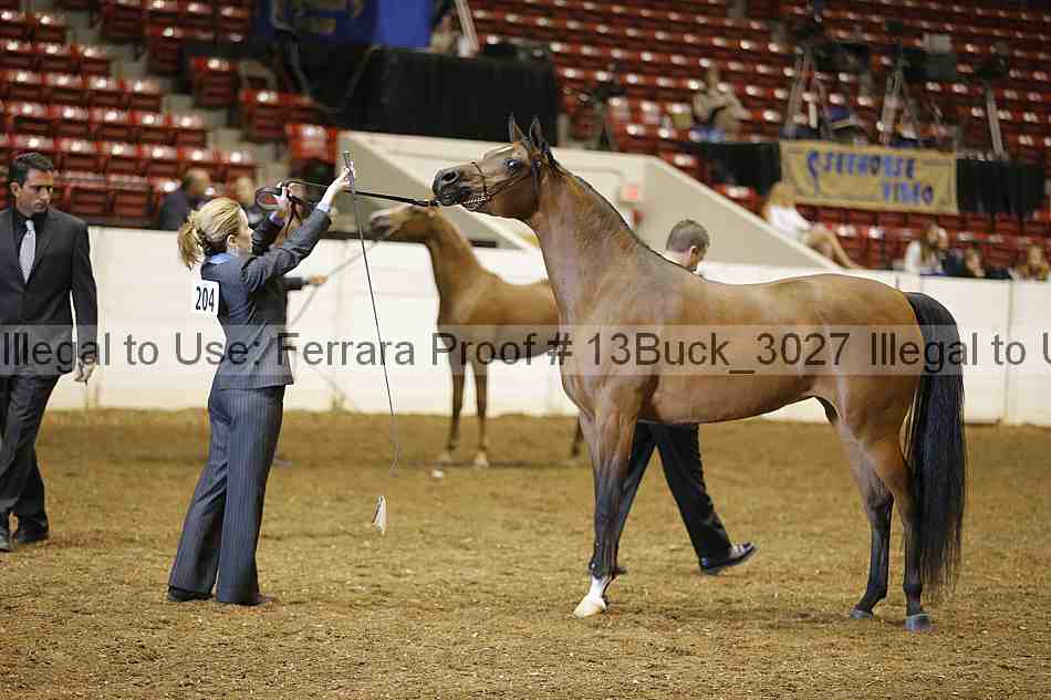 Proof 13buck_3027
