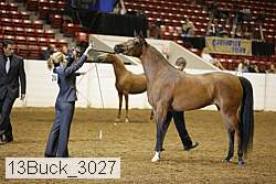 13buck_3027 proof