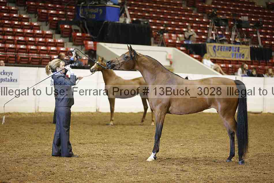 Proof 13buck_3028
