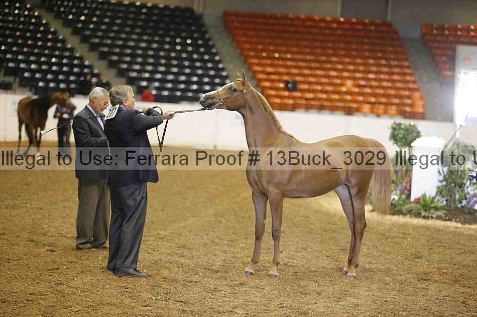 Proof 13buck_3029