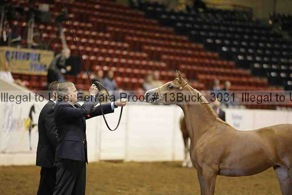 Proof 13buck_3031