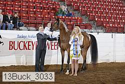 13buck_3033 proof