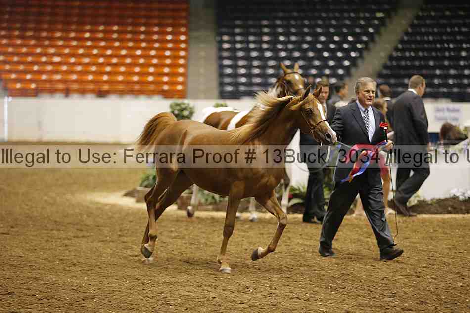 Proof 13buck_3034