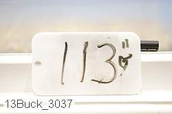 13buck_3037 proof