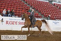 13buck_3038 proof