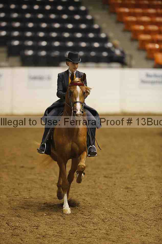 Proof 13buck_3039