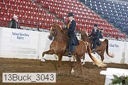 13buck_3043 proof